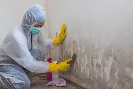 Best Mold Documentation for Insurance Claims  in Carolina Shores, NC